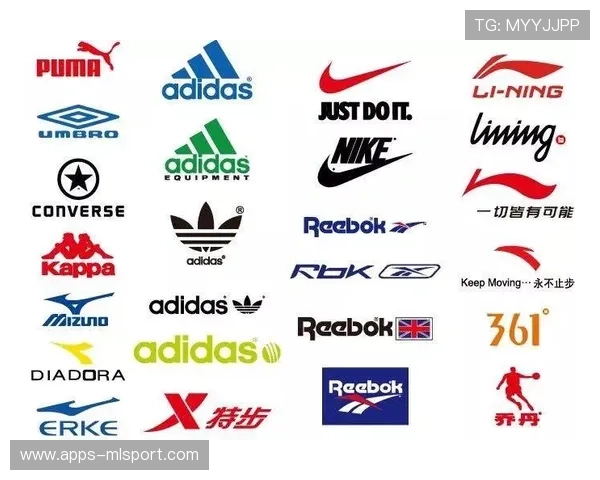 粉丝对运动品牌社会议题参与度的心理评价