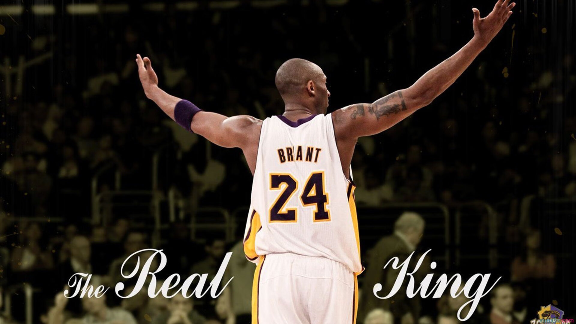 NBA这一天里程碑！基迪致敬乔丹，库里超越老佩顿，北丐超越大O，nba基德资料